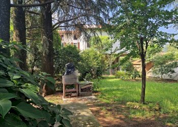 Giardino - Villa via Bordone Paris, 29, Induno Olona - foto 5