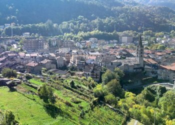 Vista - Negozio Chiomonte - foto 15