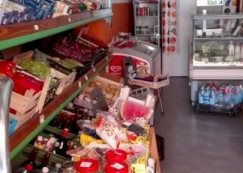 Interno non residenziale - Alimentari - Gastronomia Pinerolo - foto 4