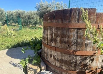 Dettagli - Rustico via Colli, 25, Torrevecchia Teatina - foto 6