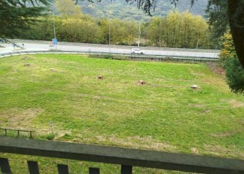 Giardino - Casa indipendente via San Giorgio, 24, Postalesio - foto 6