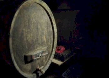 Cantina - Casa indipendente via San Giorgio, 24, Postalesio - foto 11