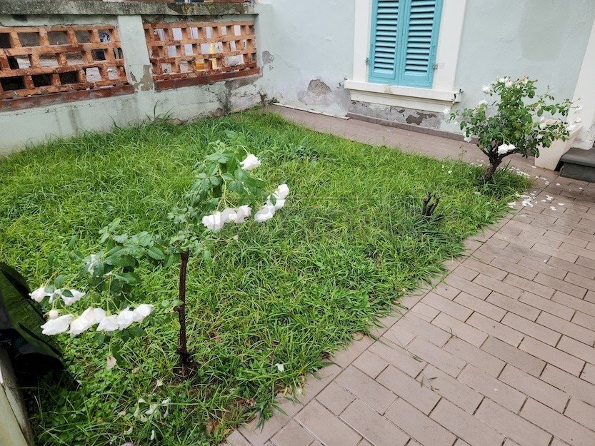 20251021_090802.jpg - Appartamento Strada Provinciale Pisana per Fucecchio 237, Fucecchio - foto 1