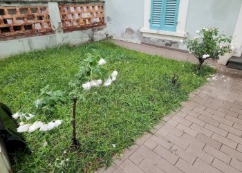 20251021_090802.jpg - Appartamento Strada Provinciale Pisana per Fucecchio 237, Fucecchio - foto 1