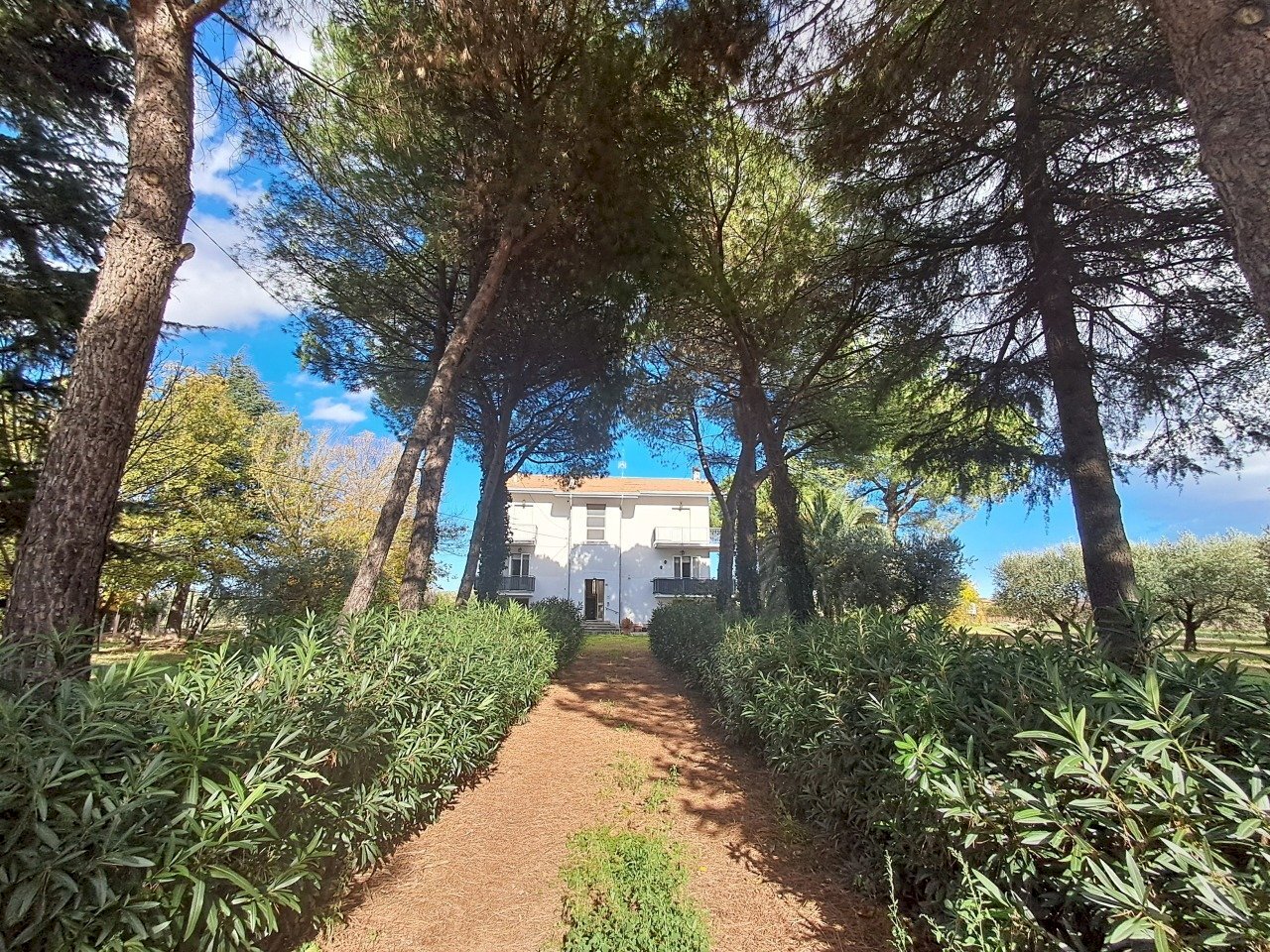 20251024_145431.jpg - Appartamento Verucchio - foto 1