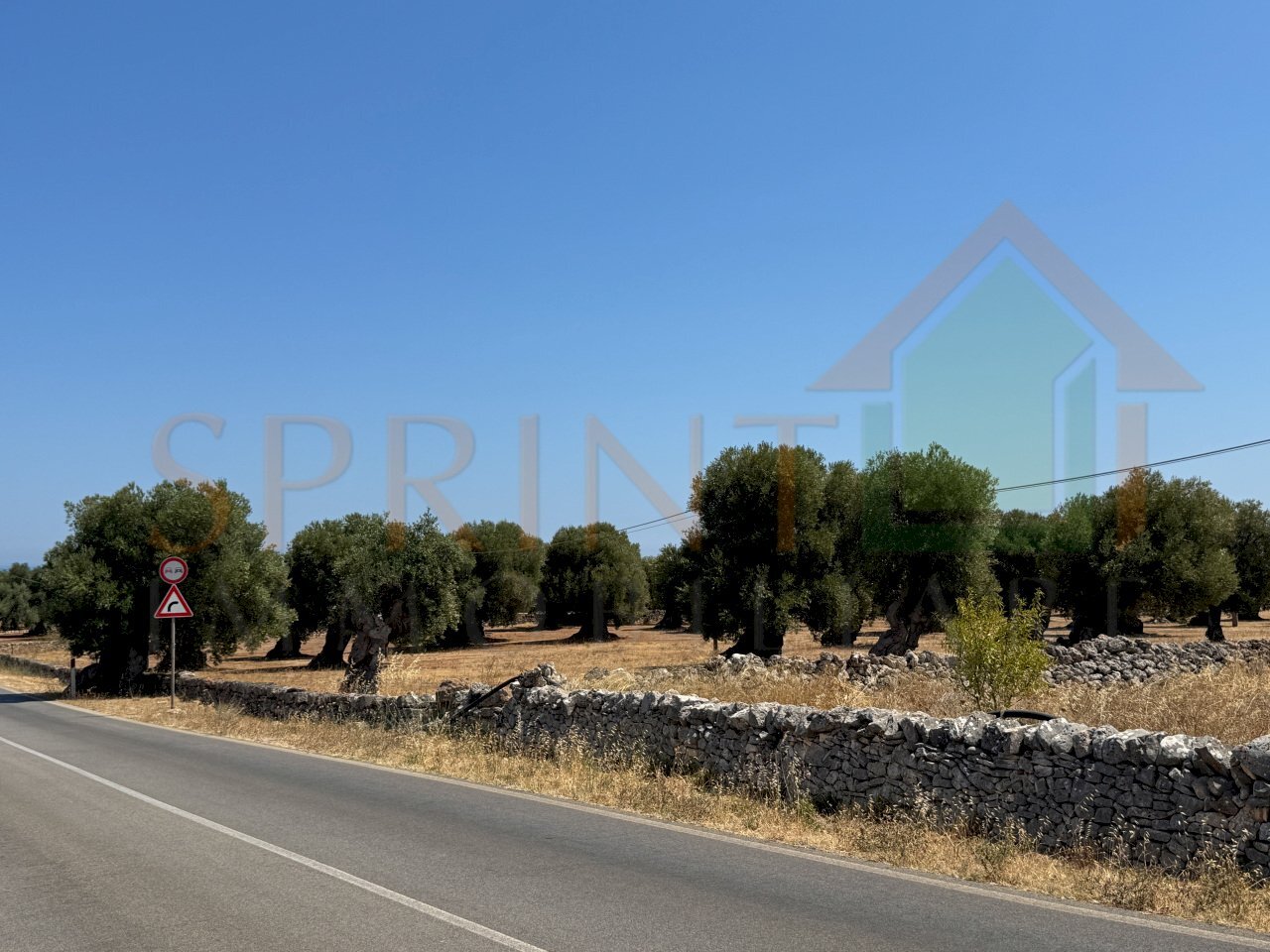 IMG_0807.jpg - Agricultural land Fasano - photo 1