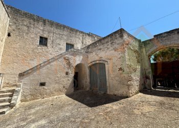 IMG_0803.jpg - Casa indipendente Fasano - foto 1