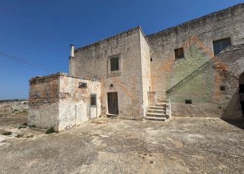 IMG_0756.jpg - Casa indipendente Fasano - foto 3