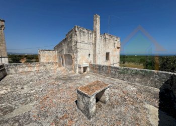 IMG_0767.jpg - Casa indipendente Fasano - foto 20