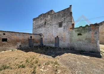 IMG_0746.jpg - Casa indipendente Fasano - foto 4