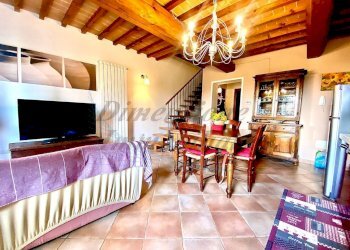 6039453205298613249.jpg - Terratetto - Terracielo Via San Sebastiano, Monteverdi Marittimo - foto 1