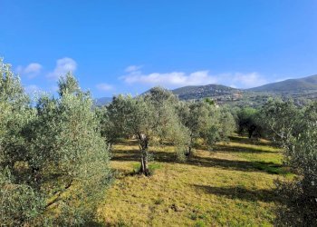 5.jpeg - Casale Strada provinciale 30, Alviano - foto 5