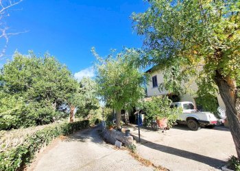 9.jpeg - Casale Strada provinciale 30, Alviano - foto 9