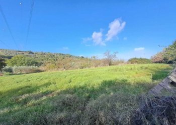 30.jpeg - Casale Strada provinciale 30, Alviano - foto 29