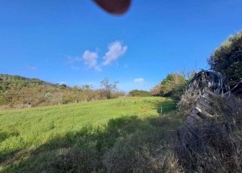 31.jpeg - Casale Strada provinciale 30, Alviano - foto 30