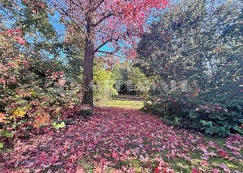 18BQ-279-RV_7.JPG - Casa indipendente Roveredo in Piano - foto 16