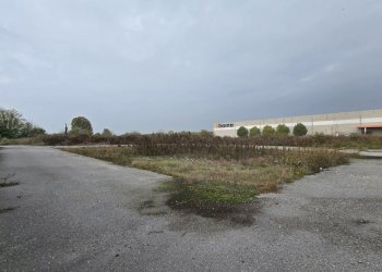 20251029_111205.jpg - Terreno edificabile SP234 8, Ospedaletto Lodigiano - foto 1