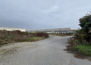 20251029_111112.jpg - Terreno edificabile SP234 8, Ospedaletto Lodigiano - foto 2