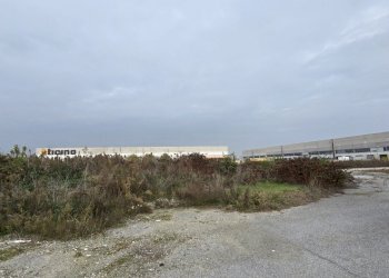 20251029_111115.jpg - Terreno edificabile SP234 8, Ospedaletto Lodigiano - foto 3