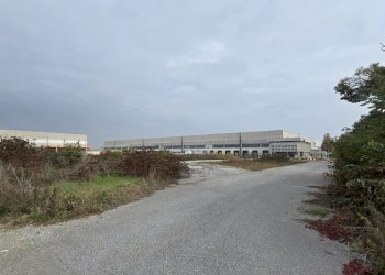 20251029_111118.jpg - Terreno edificabile SP234 8, Ospedaletto Lodigiano - foto 4