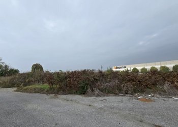 20251029_111130.jpg - Terreno edificabile SP234 8, Ospedaletto Lodigiano - foto 5