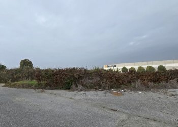 20251029_111131.jpg - Terreno edificabile SP234 8, Ospedaletto Lodigiano - foto 6