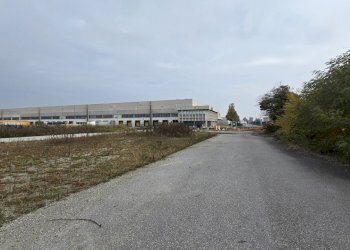 20251029_111135.jpg - Terreno edificabile SP234 8, Ospedaletto Lodigiano - foto 8