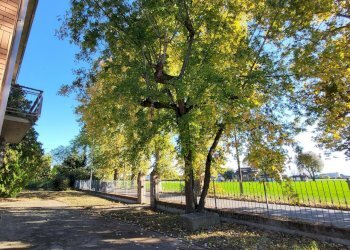 20251027_144033.jpg - Villa Strada Cornazzano 3, Sissa Trecasali - foto 8