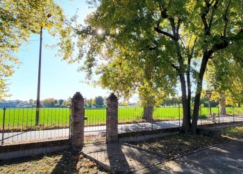 20251027_144610.jpg - Villa Strada Cornazzano 3, Sissa Trecasali - foto 13