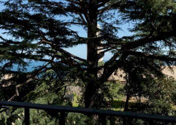 Foto 53 - Quadrilocale Piazza XX Settembre, Bergeggi - foto 53