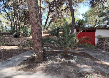 Foto 16 - Villa Via Piantata Tarantofalo
 
10, Massafra - foto 16