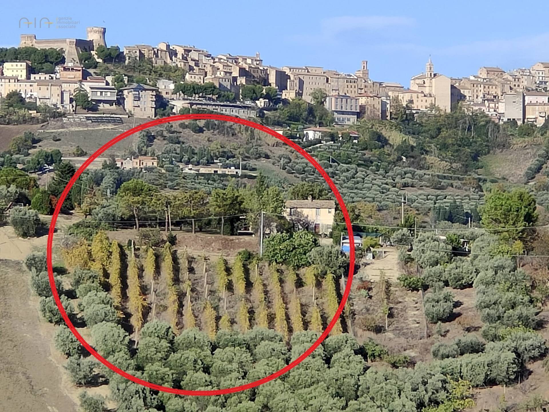 Foto 2 - Rustico Contrada Casarica
 
7, Acquaviva Picena - foto 2