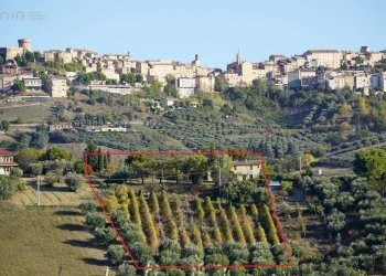 Foto 3 - Rustico Contrada Casarica
 
7, Acquaviva Picena - foto 3