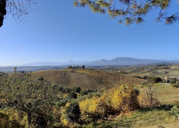 Foto 4 - Rustico Contrada Casarica
 
7, Acquaviva Picena - foto 4