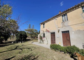 Foto 10 - Rustico Contrada Casarica
 
7, Acquaviva Picena - foto 10