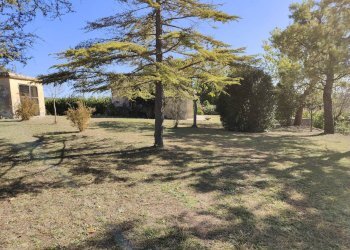 Foto 11 - Rustico Contrada Casarica
 
7, Acquaviva Picena - foto 11