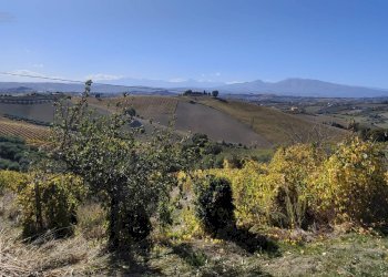 Foto 17 - Rustico Contrada Casarica
 
7, Acquaviva Picena - foto 17