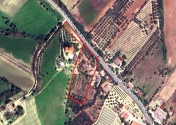 Foto 21 - Rustico Contrada Casarica
 
7, Acquaviva Picena - foto 21