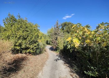 Foto 22 - Rustico Contrada Casarica
 
7, Acquaviva Picena - foto 22