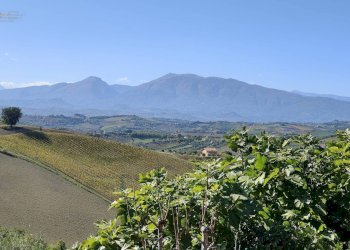 Foto 23 - Rustico Contrada Casarica
 
7, Acquaviva Picena - foto 23