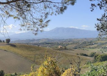 Foto 24 - Rustico Contrada Casarica
 
7, Acquaviva Picena - foto 24