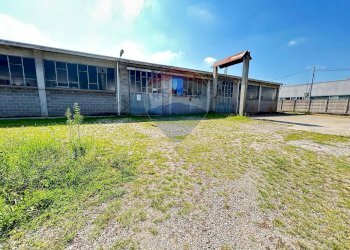 Giardino - Capannone Via Labriola
 
27, Borgo Ticino - foto 2