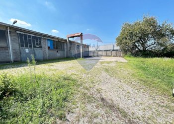 Giardino - Capannone Via Labriola
 
27, Borgo Ticino - foto 3