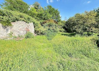 Giardino - Capannone Via Labriola
 
27, Borgo Ticino - foto 6