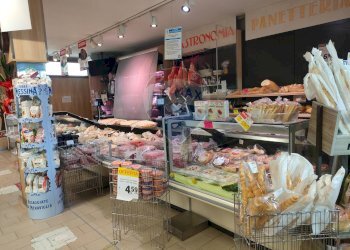 Dispensa di stoccaggio - Casa semi indipendente Ferrara - foto 7