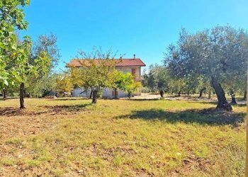 Foto 2 - Casa indipendente contrada fiume colle ospedale, Penne - foto 2