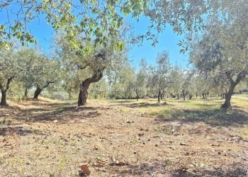 Foto 5 - Casa indipendente contrada fiume colle ospedale, Penne - foto 5