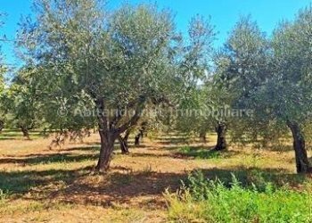 Foto 6 - Casa indipendente contrada fiume colle ospedale, Penne - foto 6