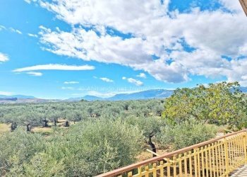 Foto 18 - Casa indipendente contrada fiume colle ospedale, Penne - foto 18