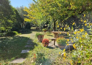 Foto 1 - Villa Orciano di Pesaro, Terre Roveresche - foto 1